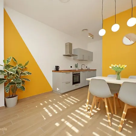 Color House, Roof Garden & Parking Roma